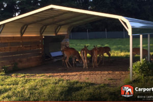 Tennessee Carports Metal Buildings And Garages Photo Sample of Metal Carport Knoxville Tn